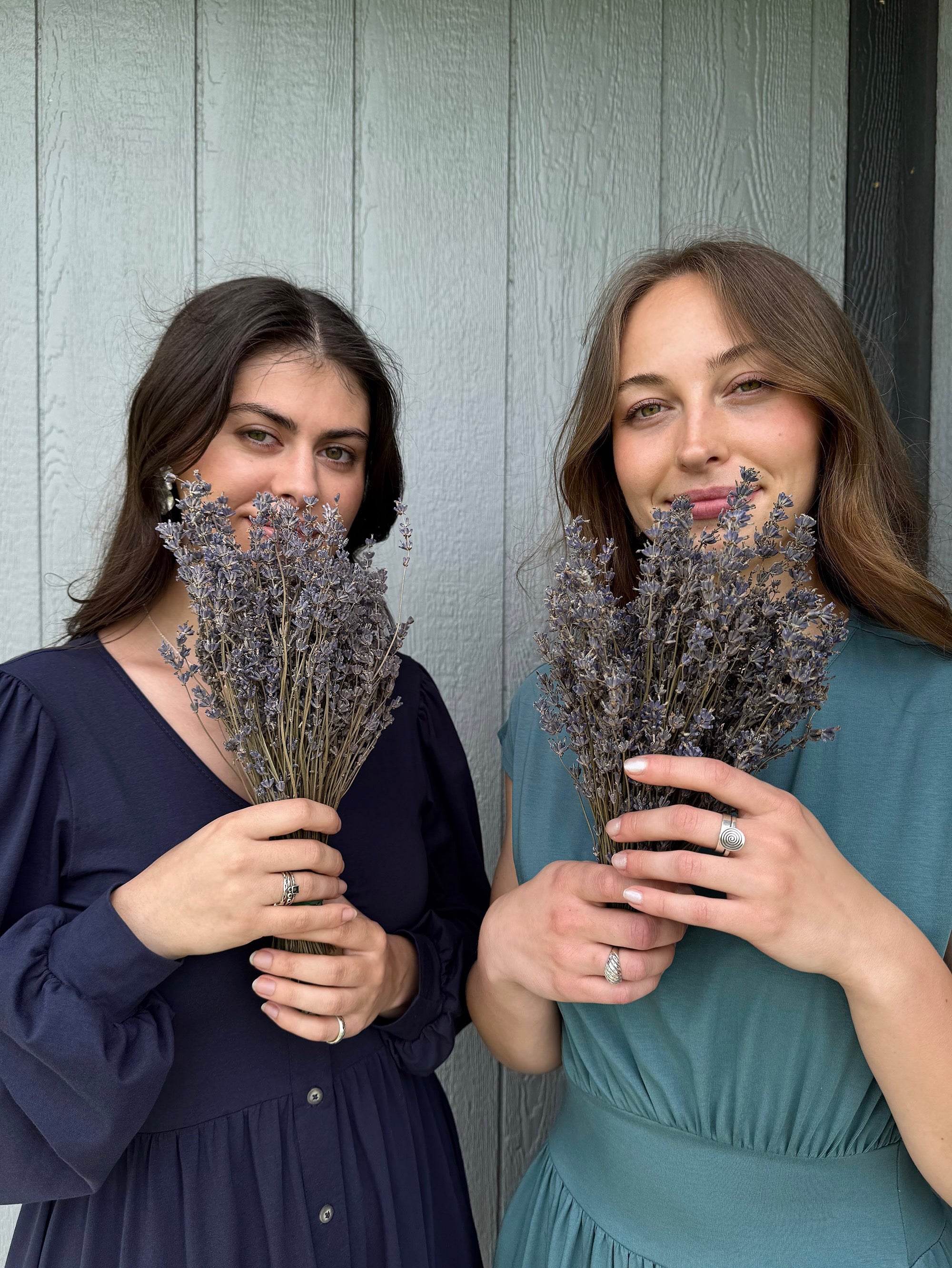 THE LAVENDER FIELD